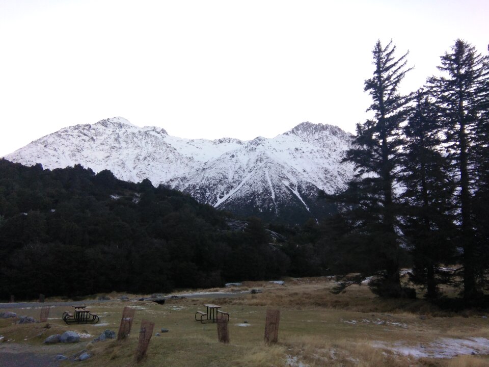 New zealand nature winter
