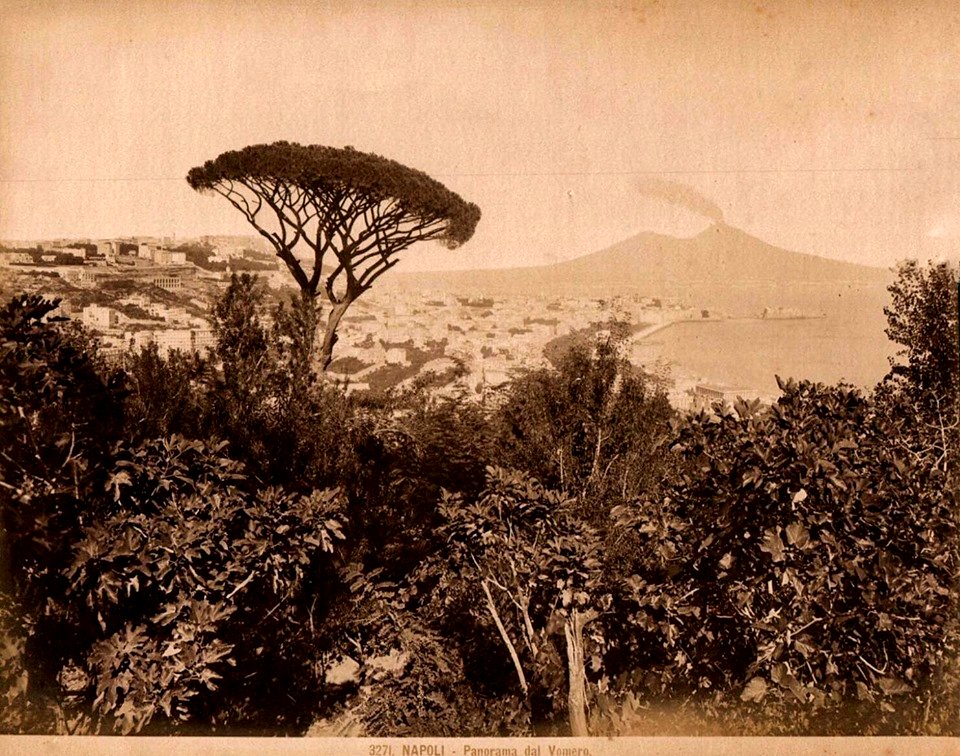 Sommer, Giorgio (1834-1914) - n. 3271 - Napoli, Panorama
