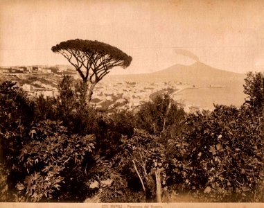 Sommer, Giorgio (1834-1914) - n. 3271 - Napoli, Panorama