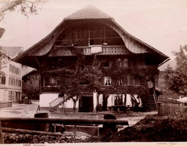 Sommer, Giorgio (1834-1914) - n. 13167 - Interlaken