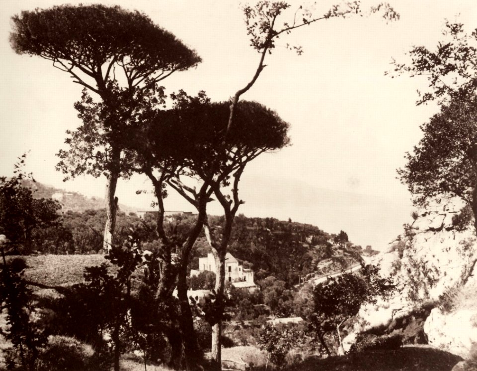 Sommer, Giorgio - Capri vom Festland aus (Zeno Fotografie)