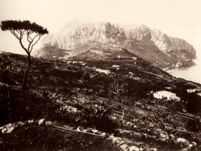Sommer, Giorgio - Monte Solaro von Tiberio aus, Capri (Zeno Fotografie)