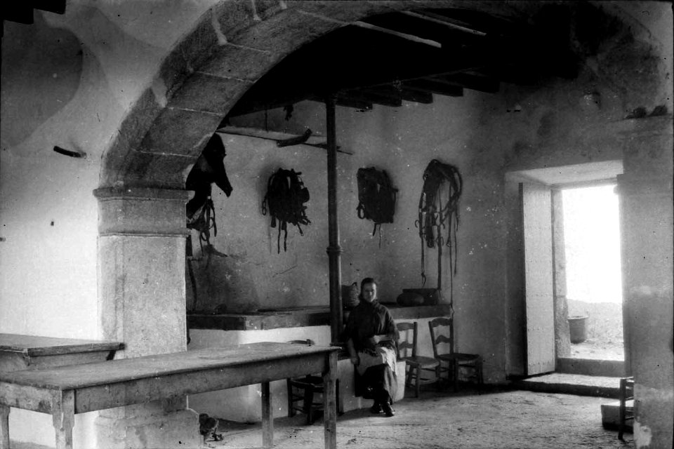 Son Massip, interior