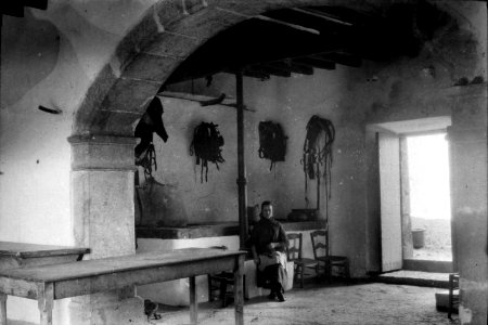 Son Massip, interior
