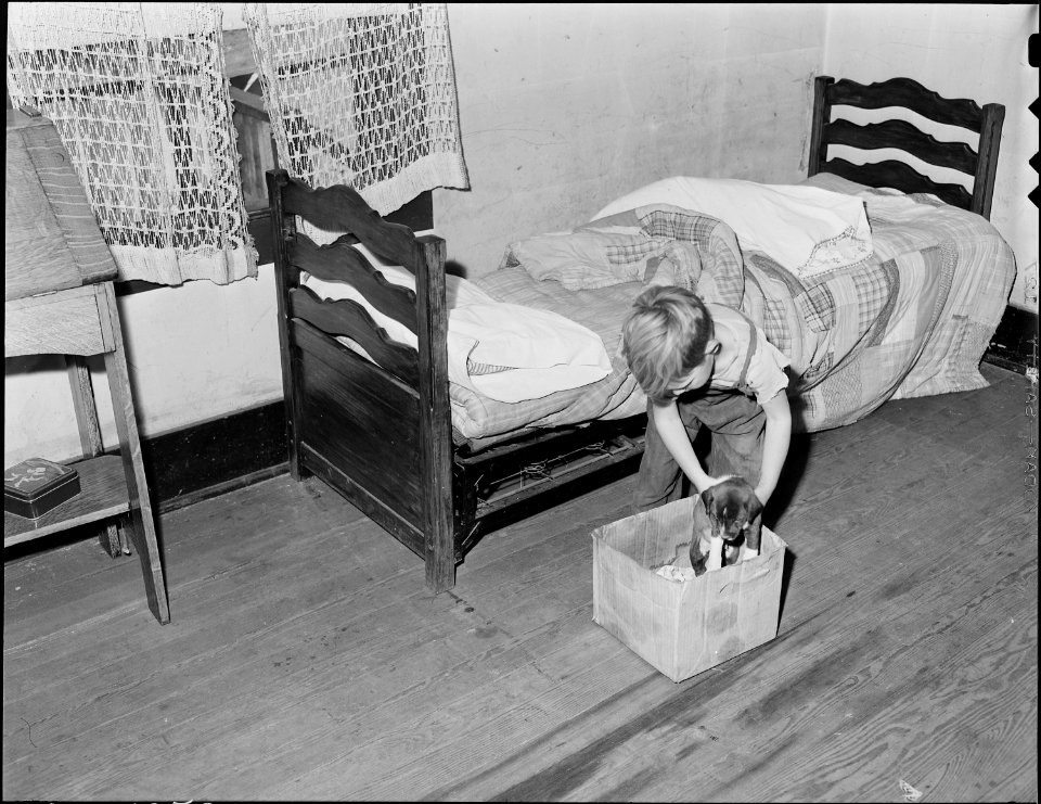 Son of Milong Bond, tipple worker, and his puppy beside his bed. Mr. and Mrs. Bond also sleep in this room, Mr.... - NARA - 540965