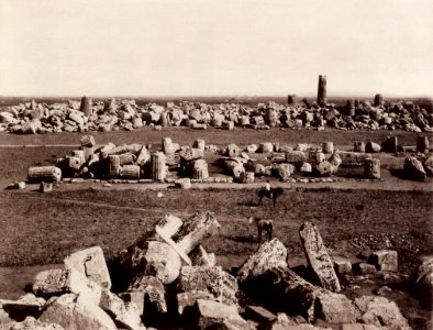 Sommer, Giorgio - Minerva- und Apollo-Tempel in Selinunte (Zeno Fotografie)