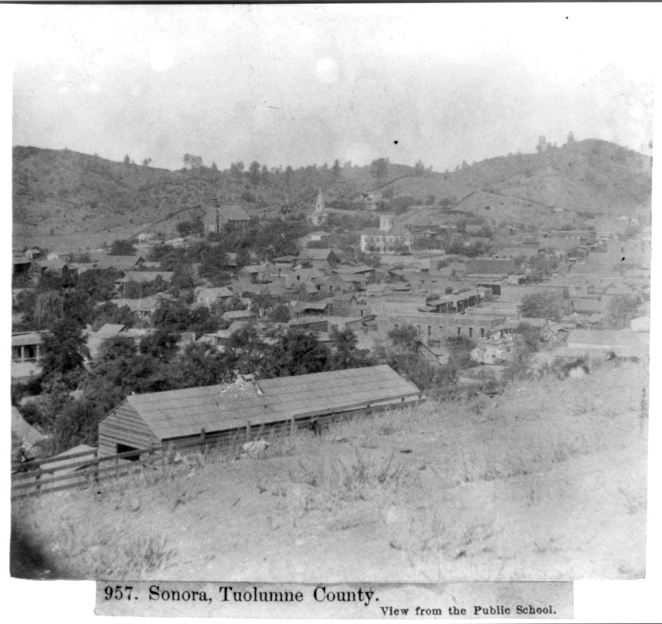 Sonora, Tuolumne County - View from the Public School LCCN2002717180