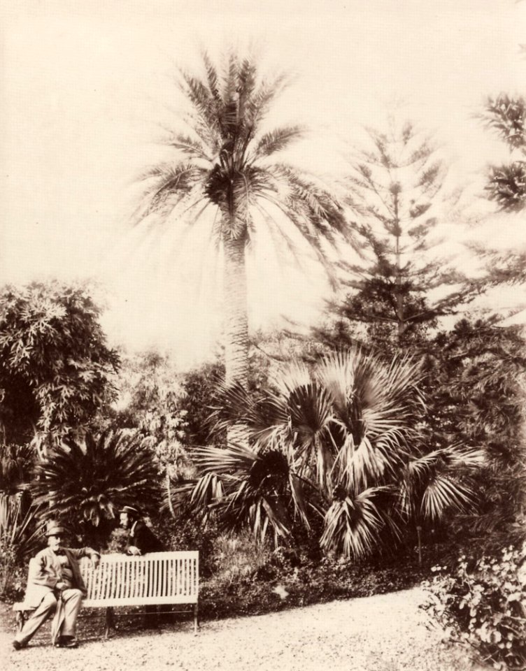 Sommer, Giorgio - Strada Ragusa in Palermo (Zeno Fotografie)