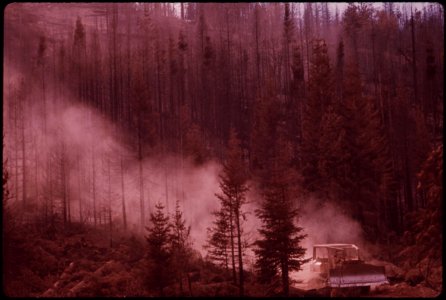 Soot-and-ashes-billow-up-as-drags-logs-from-burn-area-september-1973 7007026432 o