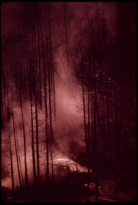 Soot-and-ashes-billow-up-as-caterpillar-tractor-drags-logs-from-burn-area-september-1973 7007028042 o