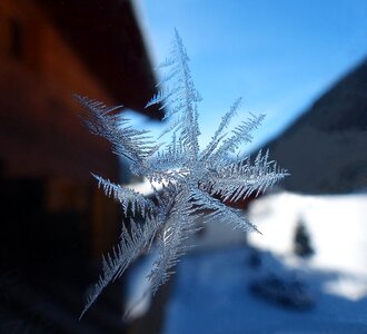 Star glass winter