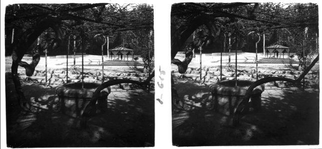 Sota la parra del Turó Parc