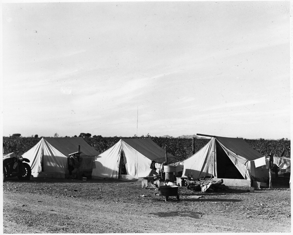 South of Eloy, Pinal County, Arizona. Grower's camp for migratory cotton pickers. - NARA - 522497