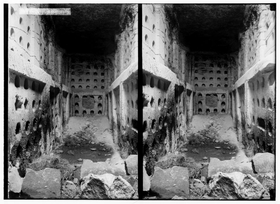 Southern Palestine. Columbarium (Beit Jibrin). LOC matpc.01397