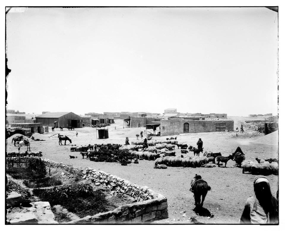 Southern Palestine. General view of Beersheba. LOC matpc.06870