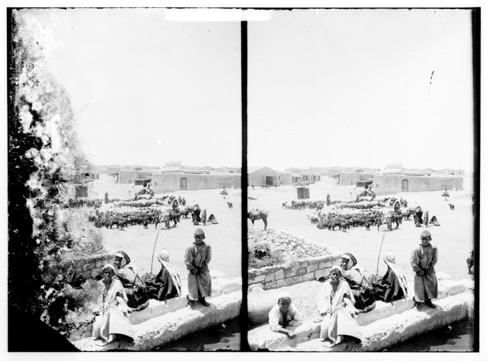 Southern Palestine. Beersheba. LOC matpc.01380