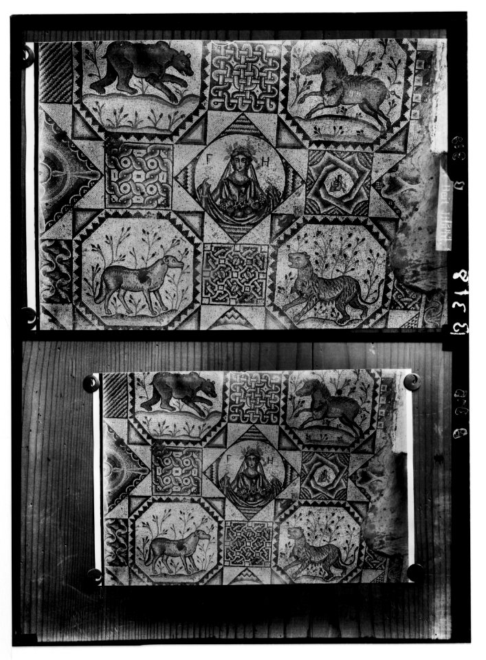 Southern Palestine. Mosaic floor at Beit Jibrin; (Another view of mosaic floor) LOC matpc.05710