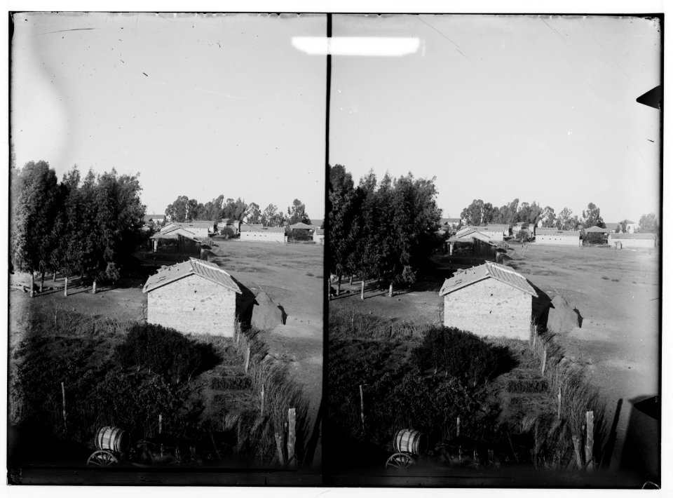 Southern Palestine. Ekron. LOC matpc.01371