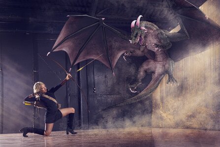 Black arrow dragon