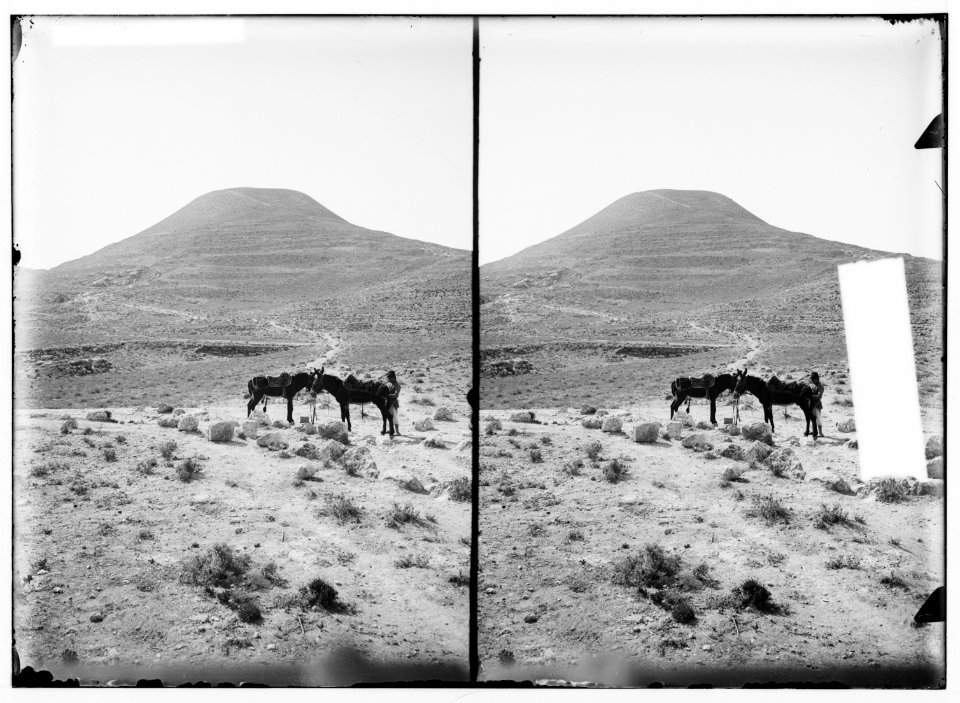 Southern Palestine. Frank Mountain. LOC matpc.01382