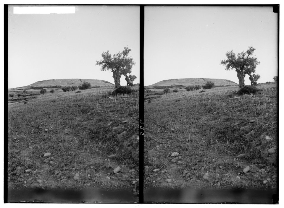 Southern Palestine. Great mound of debris at Beit Jibrin. LOC matpc.01394