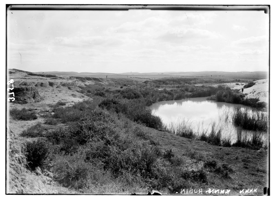 Southern Palestine. Nebi Rubin (the prophet Reuben). A Moslem (i.e., Muslim) yearly pilgrimage in honour of Patriarch Reuben. Nahr (river) Rubin. Nearby is the Shrine of Reuben. LOC matpc.02904