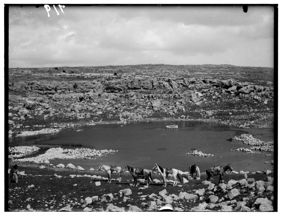 Southern Palestine. Carmel. South of Hebron LOC matpc.00087