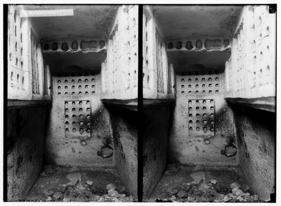 Southern Palestine. Columbarium (Beit Jibrin). LOC matpc.01398