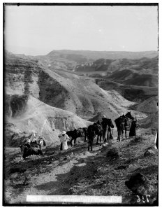 Southern Palestine. Wilderness of Tekoah LOC matpc.00086