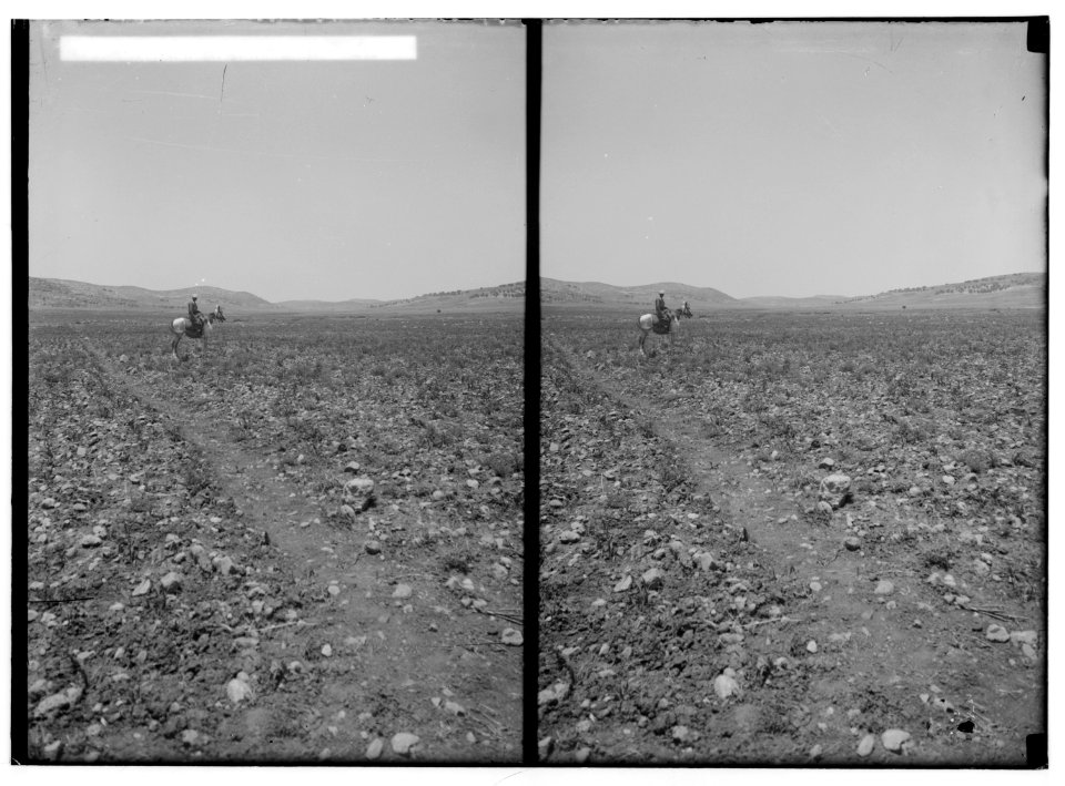 Southern Palestine. General view of Valley of Elah. LOC matpc.01391