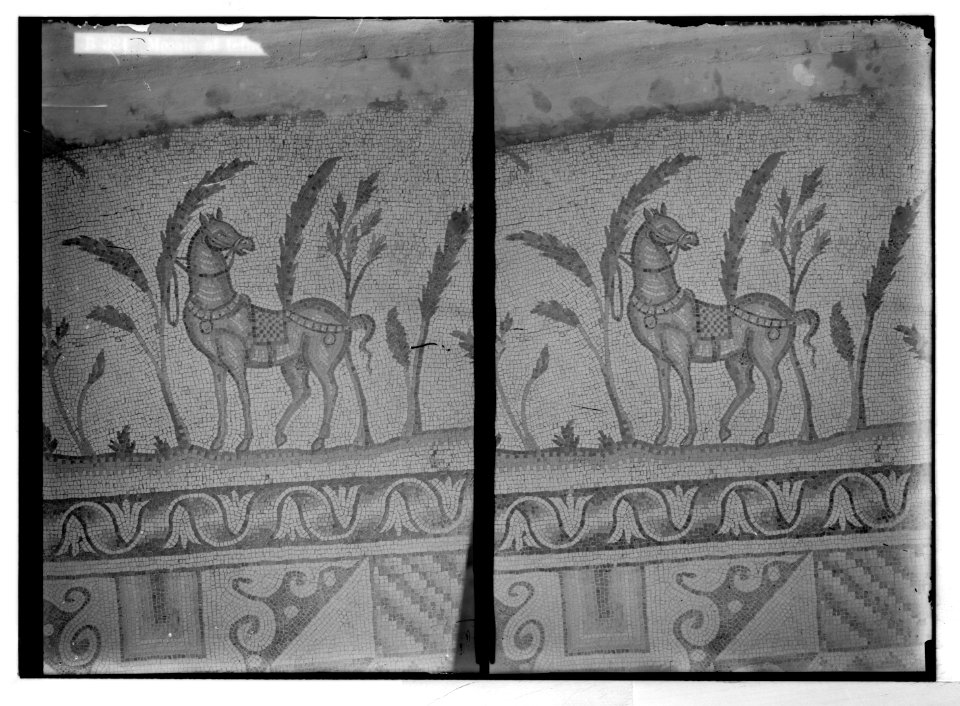 Southern Palestine. Mosaic of tethered horse (at Beit Jibrin). LOC matpc.05716