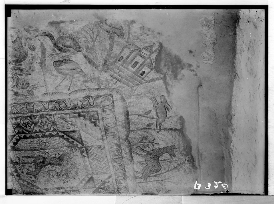 Southern Palestine. Mosaic of a villa (at Beit Jibrin). LOC matpc.05712