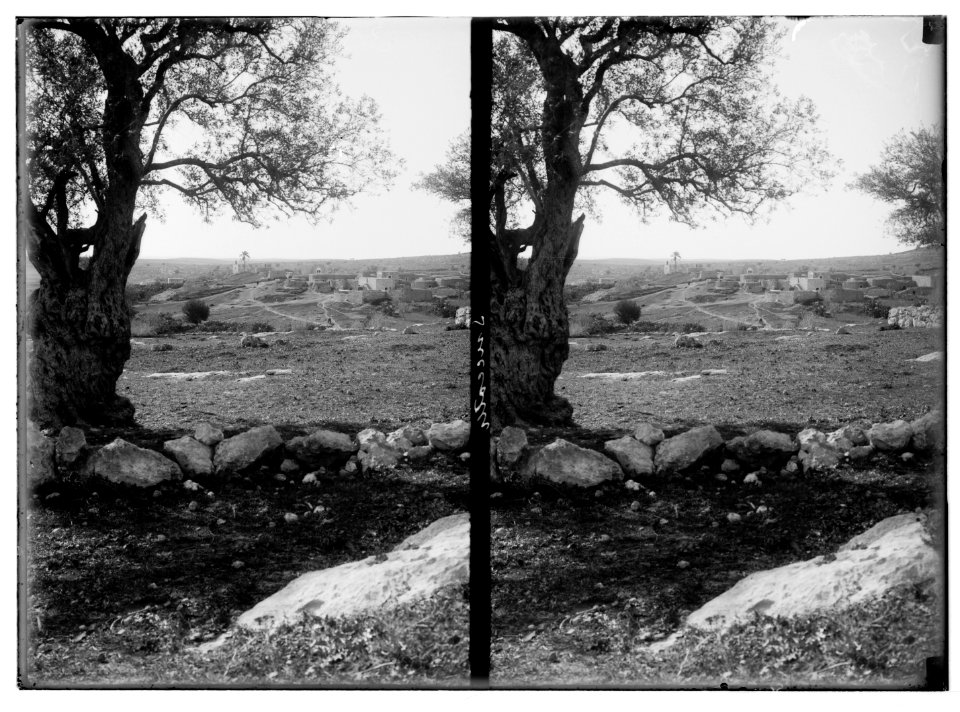 Southern Palestine. Village of Zachariah (Succoth). LOC matpc.05707