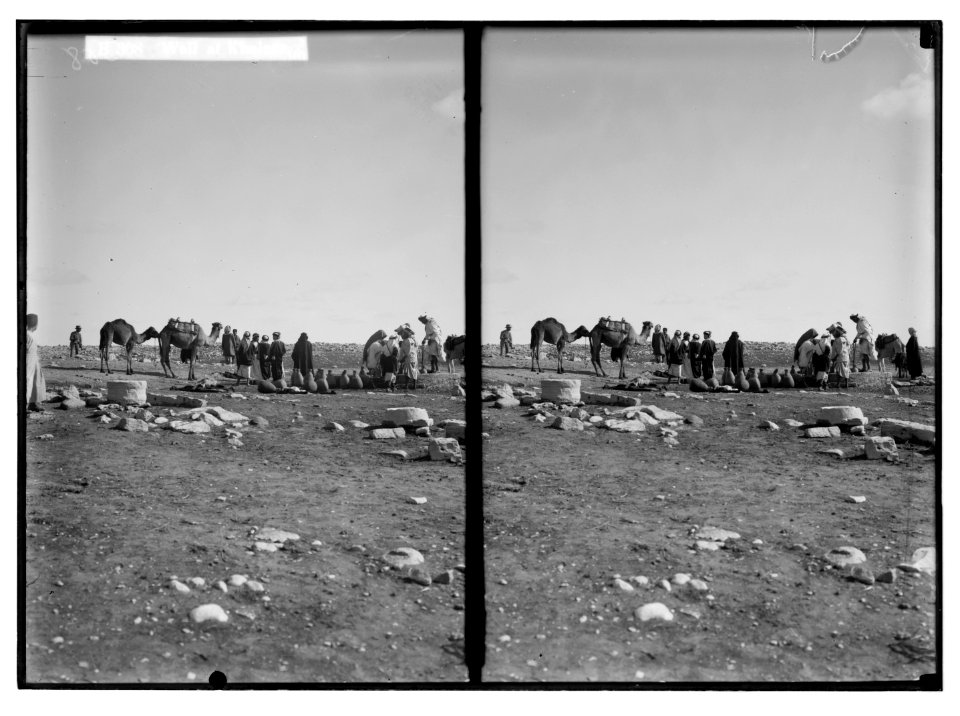 Southern Palestine. Well at Khalasa. LOC matpc.05700