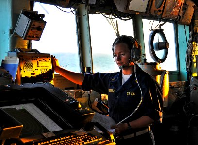 Southern Seas 2010 action DVIDS264634