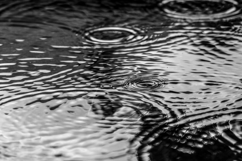 Rain nature gray rain