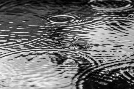 Rain nature gray rain