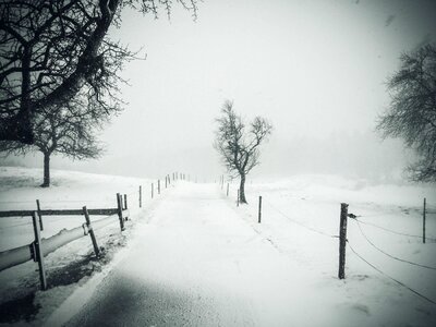 Street wood snow