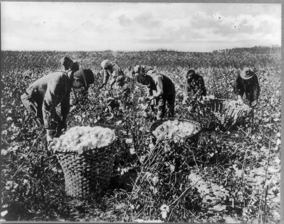 Southern U.S. cotton picking LCCN2012648381