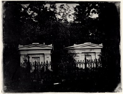 Southworth and Hawes - Gräber von W. Read und S.O. Mead , Ailianthusweg, Mount Auburn Friedhof (Zeno Fotografie)