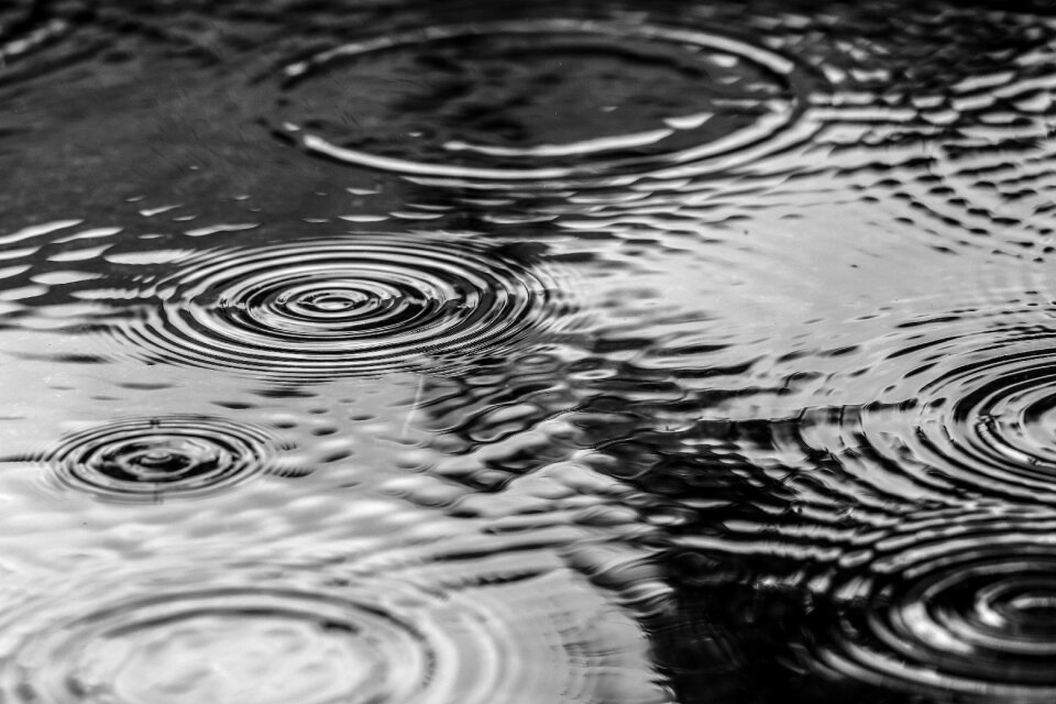 Nature gray nature gray water