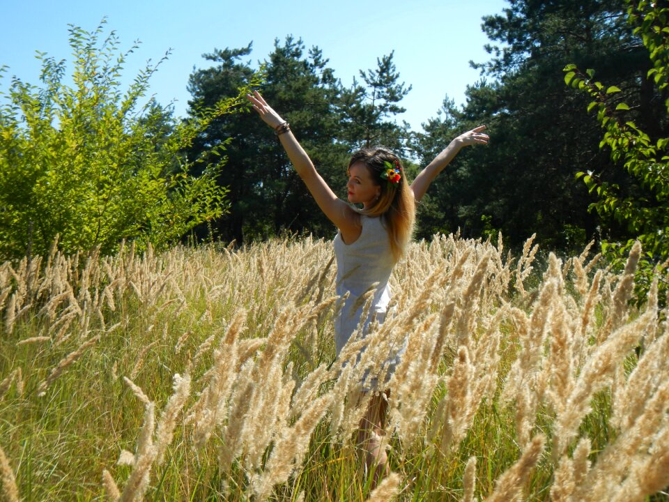 Environment field grass