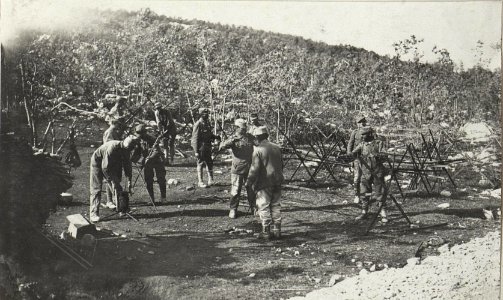 Spanische Reiter Flechterei (BildID 15606446)