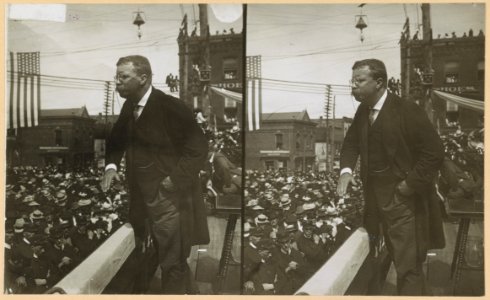 Speech at Asheville, N.C., Sept. 9, 1902 LCCN2009633757