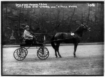 Speedway Parade. Louis Frank with Strange Leaf, a prize winner. May 1, 1908 LCCN2003677468