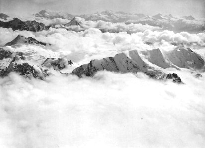 Spelterini Blüemlisalp 2