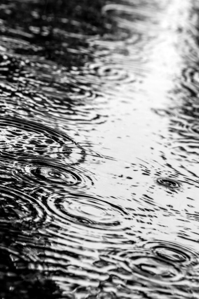 Rain drops gray rain
