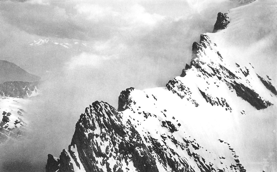 Spelterini Balmhorn