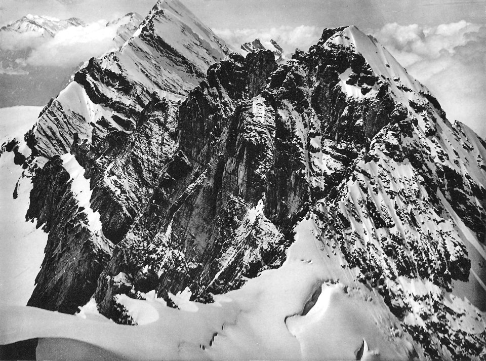Spelterini Blüemlisalp