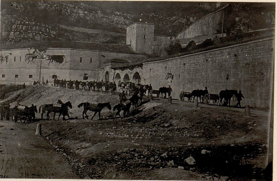 Sperrfort oberhalb Primolano. Munitions-Tragtierkolonne. (BildID 15635325)